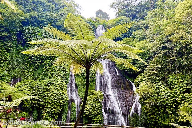 Banyumala Twin Waterfalls, and North Bali