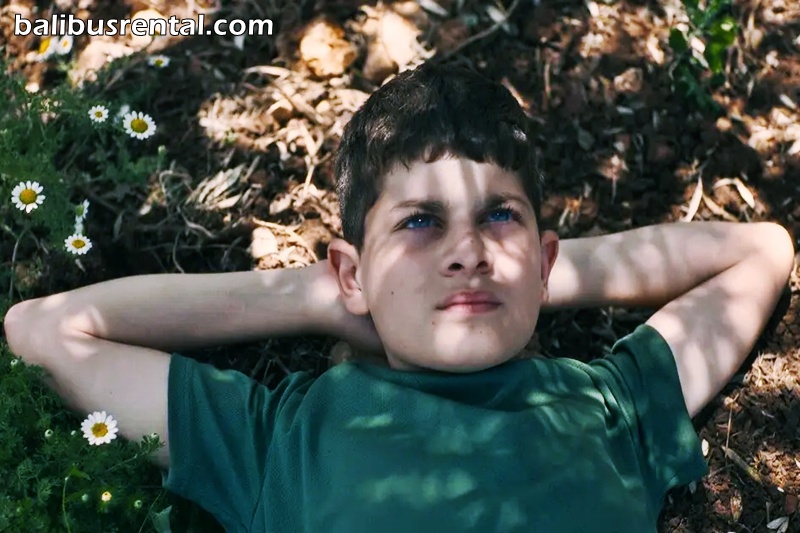 “The Sea,” starring Muhammad Gazawi as a Palestinian boy, will automatically be Israel’s submission for the Oscar for best international feature