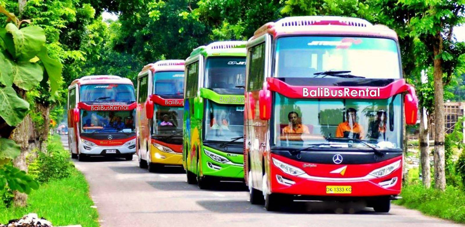 Bali Bus Rental
